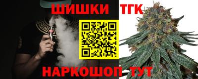 амф Новозыбков