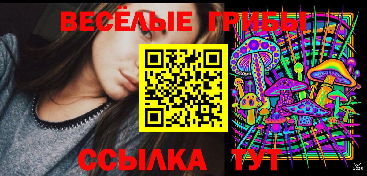 Сердобск  Псилоцибиновые грибы прущие грибы  Вход с VPN 